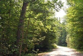St. Clair Camping Resort Marysville Ngoại thất bức ảnh